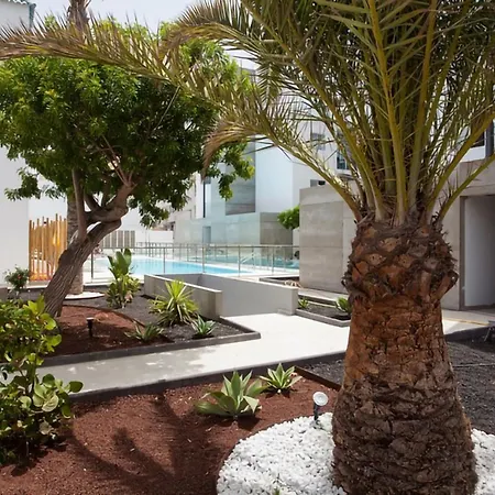 Cozy Flat With Amazing Roof In